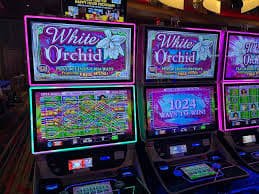 slot88toto VIP Gold concierge phone support and exclusive sportsbook markets screen